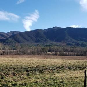 Meet your Posher, Larry